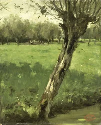 Piletreet