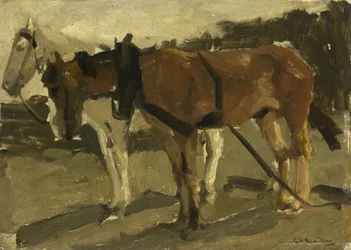 En brun og en hvit hest i Scheveningen
