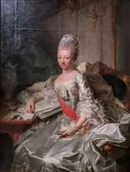 Hertuginne Luise Friederike av Mecklenburg-Schwerin