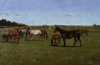 Hopper og føll, 1917