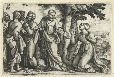 Kristus helbreder den blødende kvinnen Life of Christ (serietittel)