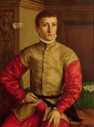 Portrett av en ung mann, 1544