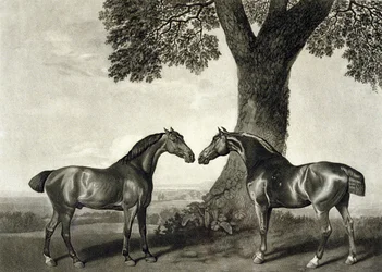 To jegere, gravert av G.T. Stubbs (bap.1748-c.1815) (litho) (se også 266802)