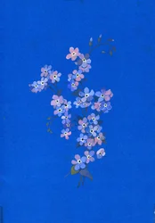 Forglemmegei, 1960-tallet (gouache på farget kort)