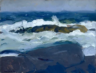 Klipprev, Maine