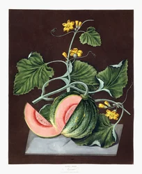Gresskar, 1812