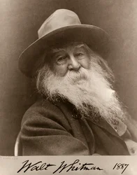 Portrett av Walt Whitman i 1887