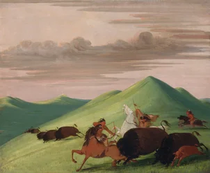Buffalo Chase, oksen som beskytter en ku og en kalv, 1832-1833.