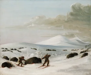 Buffalo Chase i snøfonner, indianere forfølger på truger