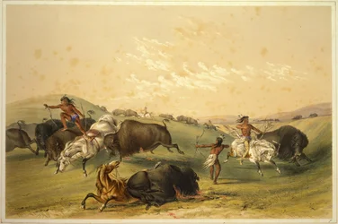 Buffalo Hunt: En tallrik gruppe