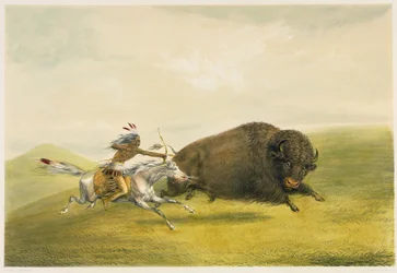 Buffalo Hunt Chase (fargelitografi)