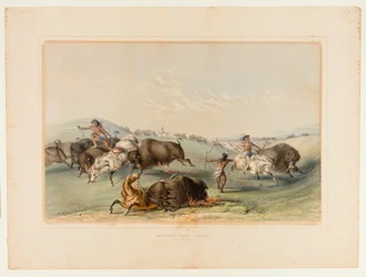 Buffalo Hunt, jakt nr. 7