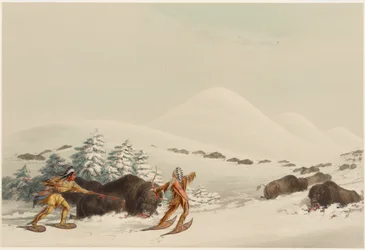 Bisonjakt på truger