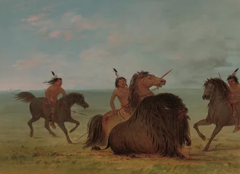 Camanchees Lancing a Buffalo Bull, 18611869.