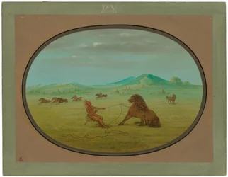 Fange ville hester - Pawnee