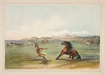 Å fange villhesten, pl. 4 fra North American Indian Portfolio