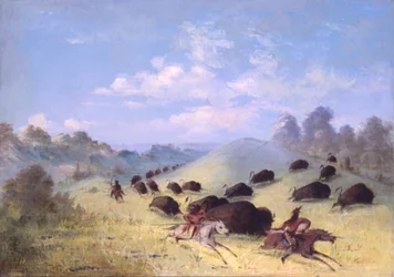 Comancheindianere som jager bison med lanser og buer, 1846-1848