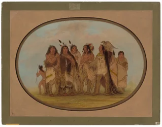 Distinguished Crow-indianere