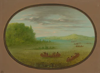Samler villris - Winnebago, 18611869.