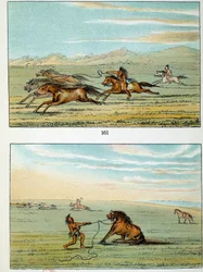 Indians of America: hvordan fange ville hester. Illustrasjon av George Catlin (1794-1872)