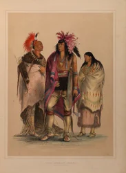 Nordamerikansk indiansk portefølje