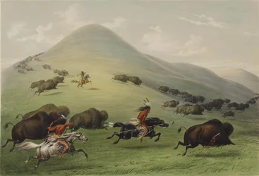 Bisonjakten