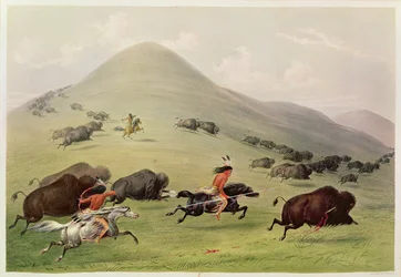 Bøffeljakten, ca. 1832