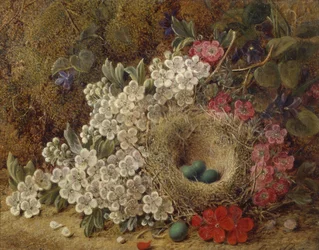 En fugl hekker og blomstrer på en mosegrodd bank (olje)