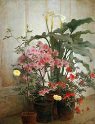 Side av et drivhus, 1870-80.