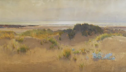 Innenfor lyden av havet