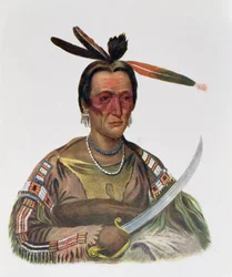 To-Ka-Cou, en Yankton Sioux-sjef, 1837, illustrasjon fra 