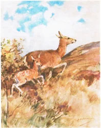 Tawny snudde seg og flyktet og oppfordret Rusty til å følge henne (farge litho)