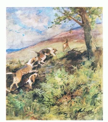 Den gamle hjorten la seg i Rustys seng mens den yngre hjorten satte av gårde, med hundene på jakt (farge litho)