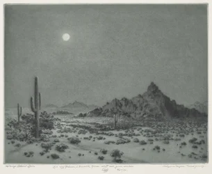Arizona natt
