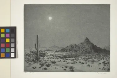 Arizona-natt