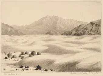 Sanddyner nær Palm Springs, California (nr.2)