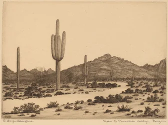 Veien til Paradise Valley, Arizona