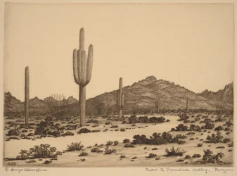 Veien til Paradise Valley, Arizona