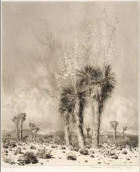 Vår, Paradise Valley, Arizona