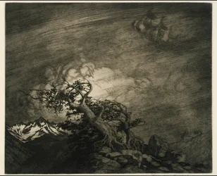 Storm nær Timberline