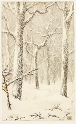 Uten tittel (Trær i snø)