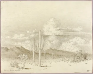 Uten tittel (overføringstegning til Kveld, Paradise Valley, Arizona)