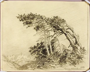 Uten tittel (overføringstegning for Vindenes hjem [nr. 1])