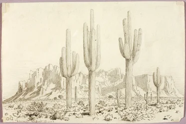 Uten tittel
