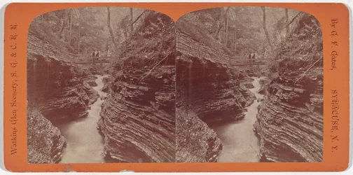 Landskap ved Watkins Glen, Skyggeravinen, ca. 1860