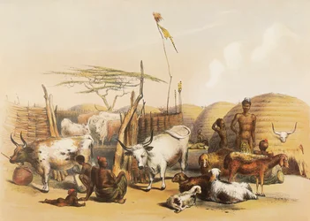 En zulu-kraal ved Umgaki-elven i Natal