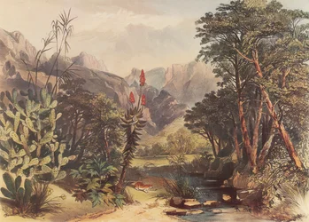 Bavianens Kloof