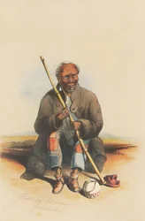 Leveregt Aris, en eldre Hottentot-mann