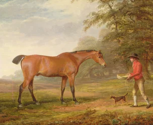 En brun hest som nærmes av en stallgutt med fôr og grime, 1789