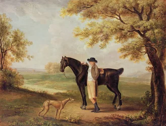 Hest, rytter og whippet